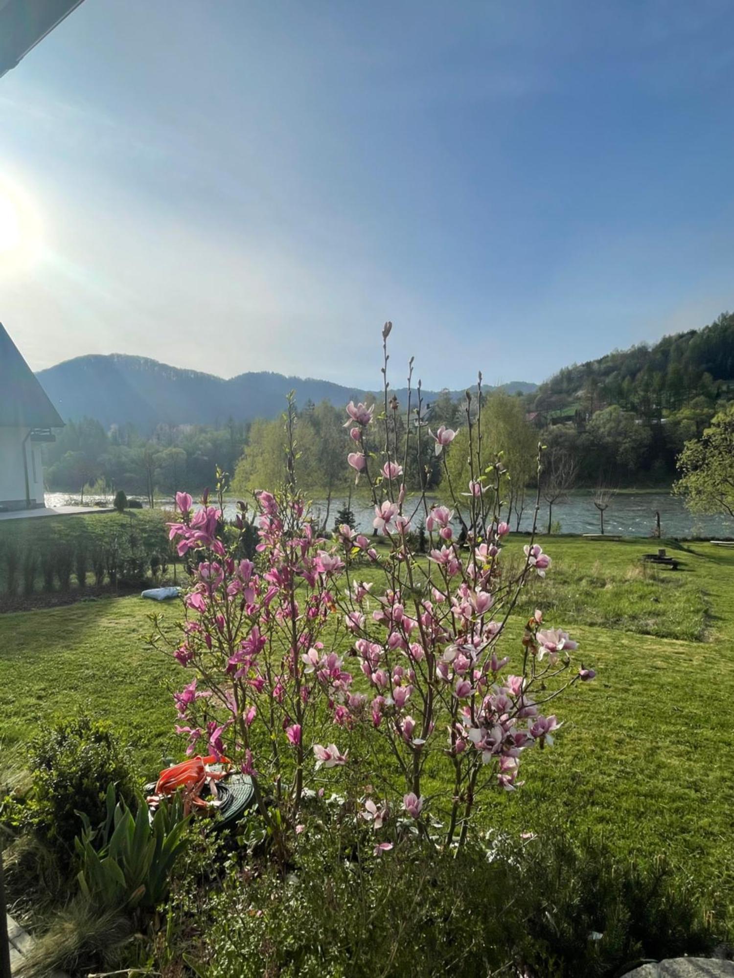 Bialy Domek Tylmanowa Dış mekan fotoğraf