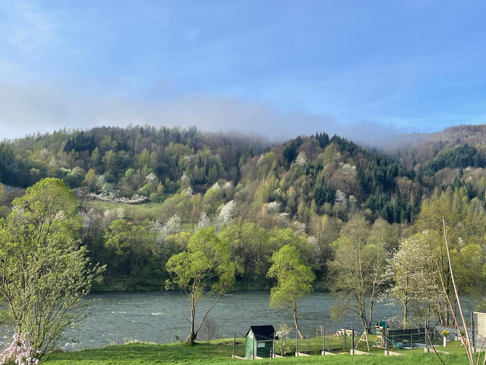 Bialy Domek Tylmanowa Dış mekan fotoğraf